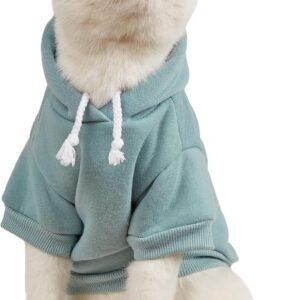 Basic Dog Hoodie, Dog Warm Jacket, Cat Apparel, Dog Shirt, Dog Clothes for Puppy Kitten Small Medium Dogs Cats Cadet Blue S